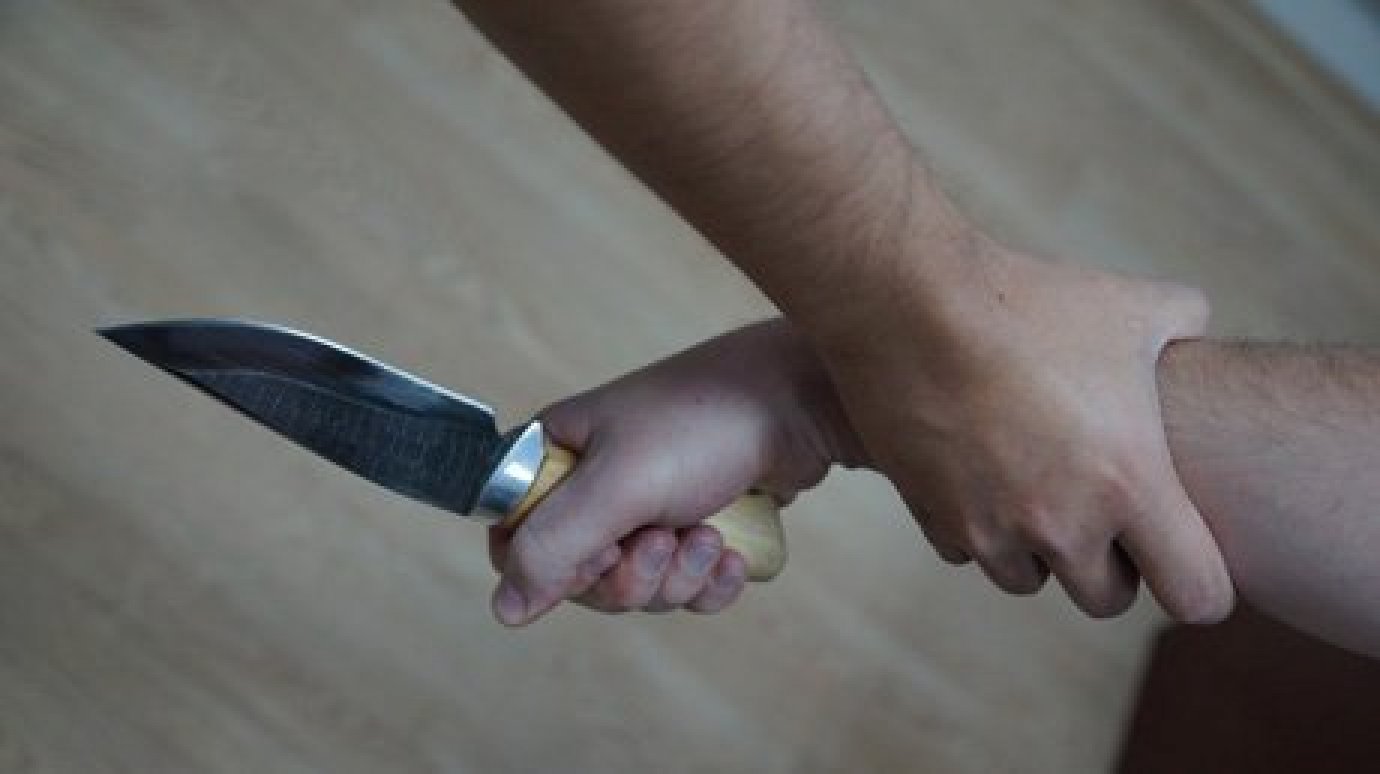 Жительница Каменки с ножом в руках пыталась отбить приятеля у полиции