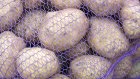 Пензенцев удивил размер картофеля на рынке