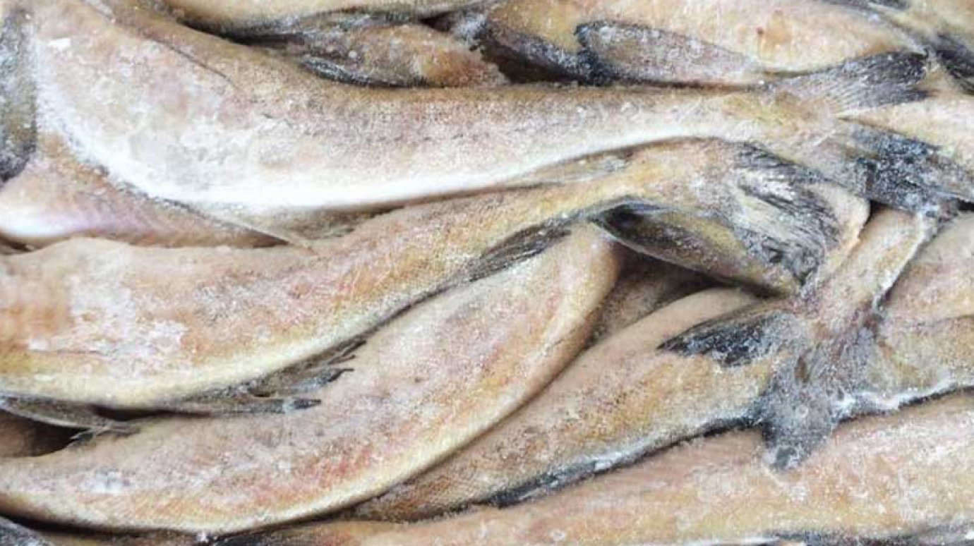 В Пензенской области утилизировали 153 килограмма рыбы