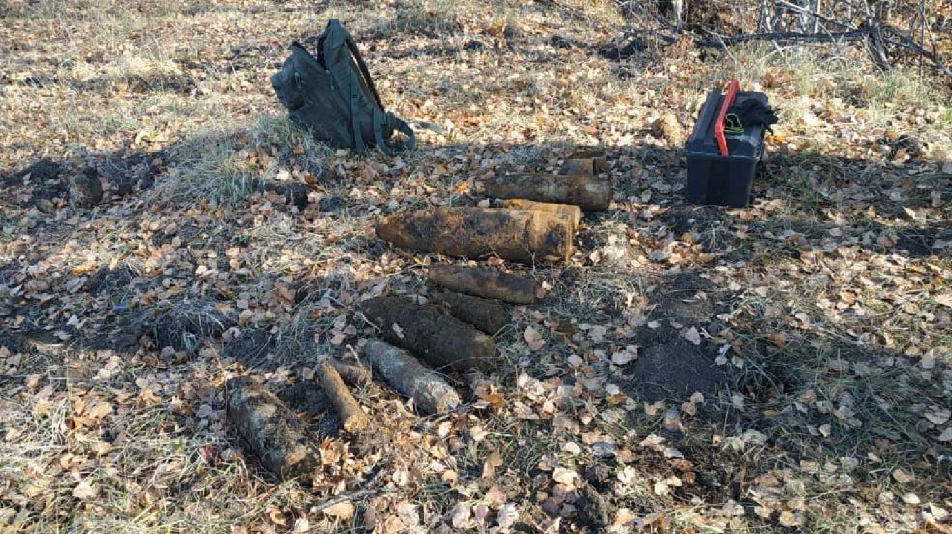 В Пензенской области грибник наткнулся в лесу на боеприпасы