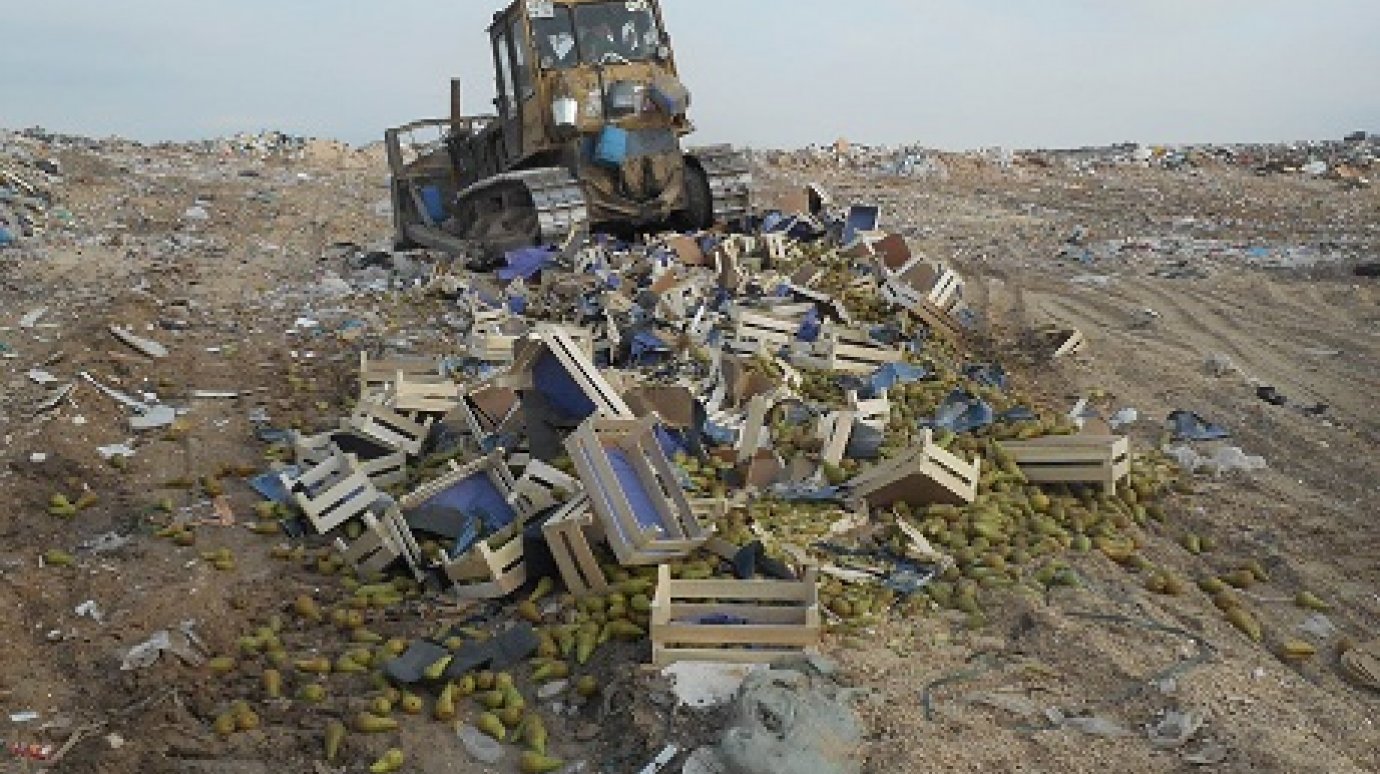 Задержанная в Пензенской области 21 тонна груш раздавлена на свалке