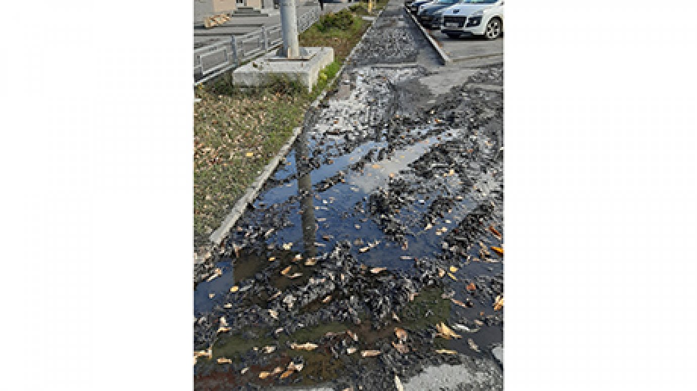 Тротуар на улице Суворова в Пензе поглотила грязь