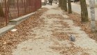 На улице Белинского на тротуаре скопилась жухлая листва