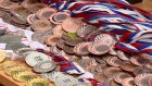 В «Воейкове» вручат медали лучшим единоборцам Пензенской области