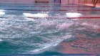 Пензенские пловцы завоевали серебро и бронзу на чемпионате России