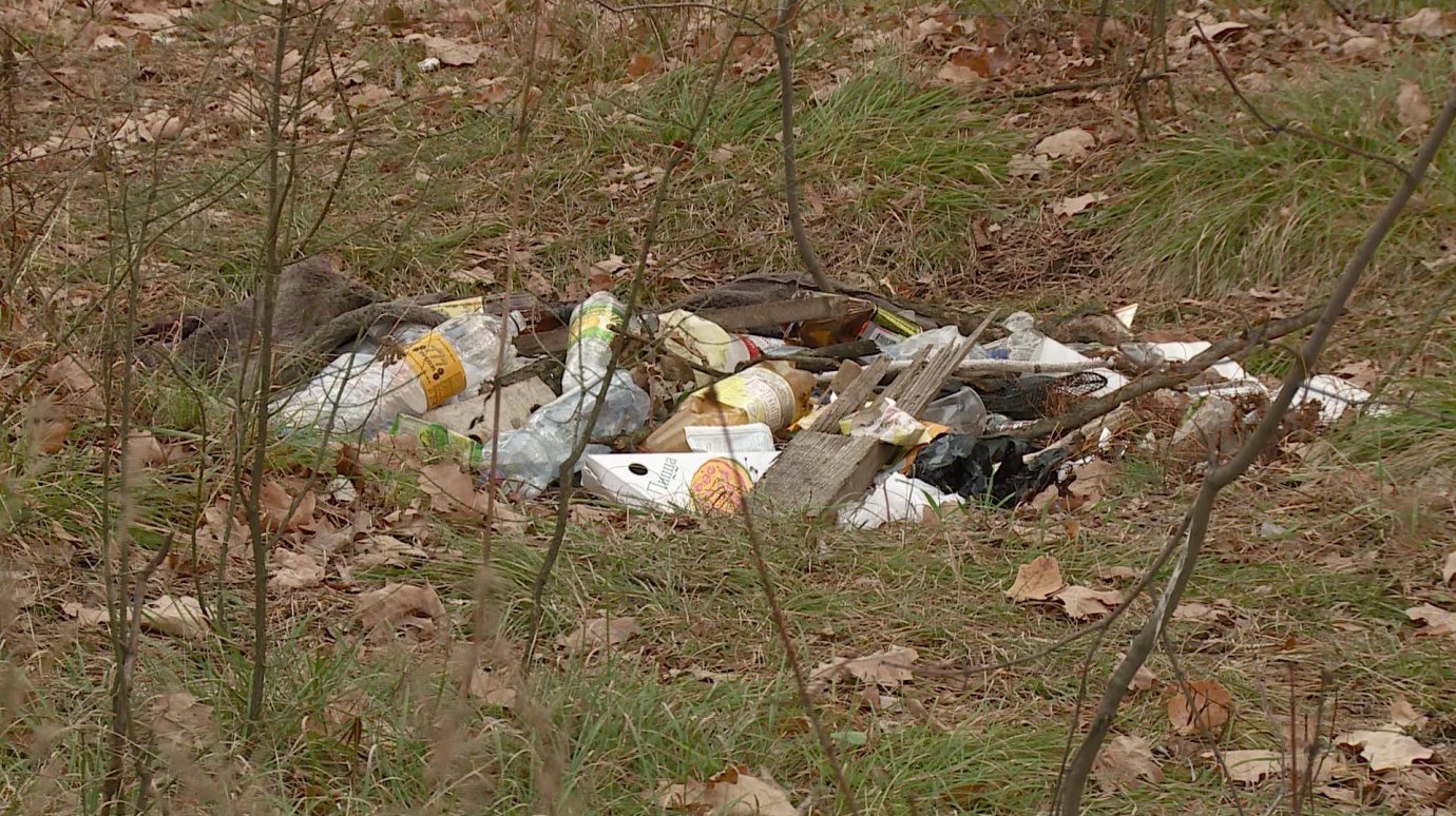 Лесополосу на улице Чапаева обезобразили горы мусора