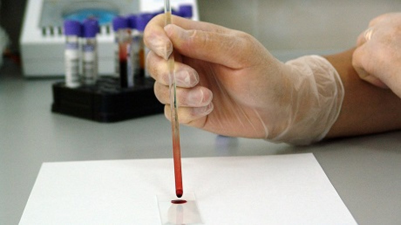 В Сосновоборске завполиклиникой подменила образец крови, выручая мужа