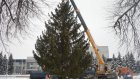 На центральной площади Кузнецка появилась новогодняя елка