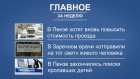Портал PenzaInform.ru определил главные новости недели