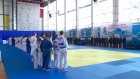 В Пензенской области приостановили работу федерации дзюдо