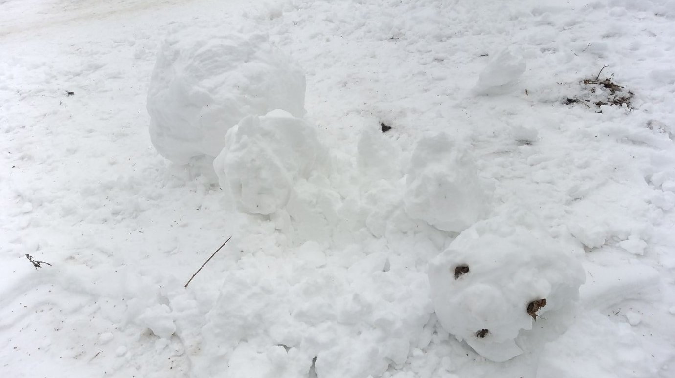 В Сердобске объявились «жестокие» разрушители снеговиков