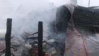 Названа причина смертельного пожара в Шемышейском районе