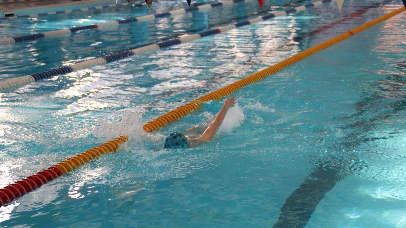 Пензенцы смогут бесплатно поплавать в бассейне «Сура»