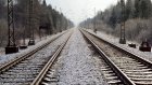 В Пензе три товарища украли рельс с железной дороги