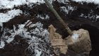 Житель Городищенского района срубил 15 деревьев и выкопал 21