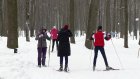 В Пензе студенты пробежали на лыжах по Олимпийской аллее