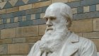12 февраля отмечается День Дарвина