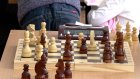 В Пензе чиновники сыграли в шахматы и шашки