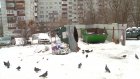 Жителям ул. Российской не нравится расположение мусорной площадки