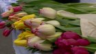 Пензенцам объяснили, как выбирать живые цветы к празднику