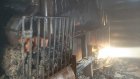 В Кузнецке при пожаре в бане погиб человек