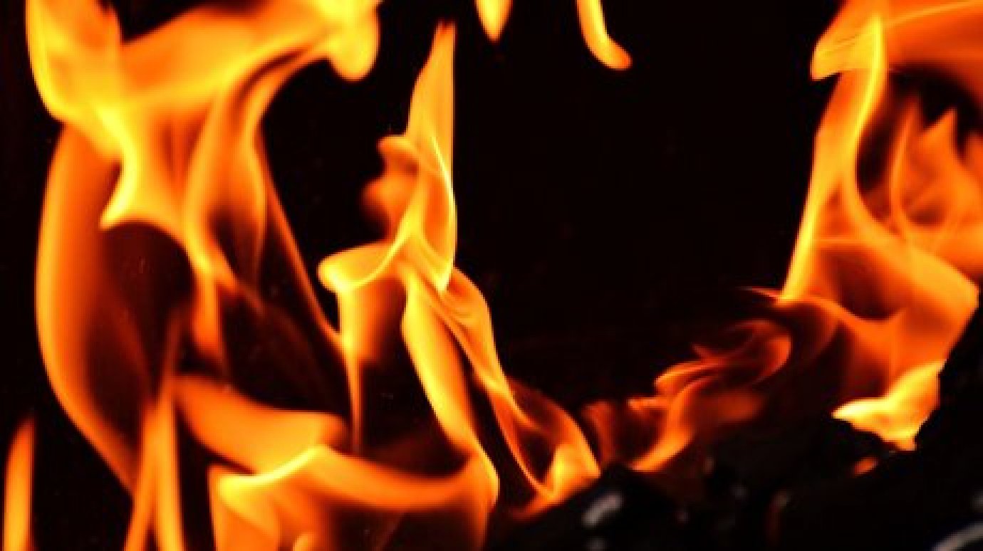 При пожаре в Кузнецком районе погибла женщина