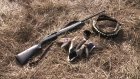 Охотников Пензенской области призвали поучаствовать в учете дичи
