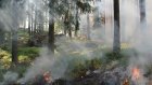 В Белинском районе лесной пожар охватил 6,5 га
