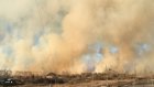 В выходные в Пензенской области произошло 93 возгорания травы и мусора