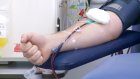 В Пензе ежедневно около 50 человек сдают донорскую кровь