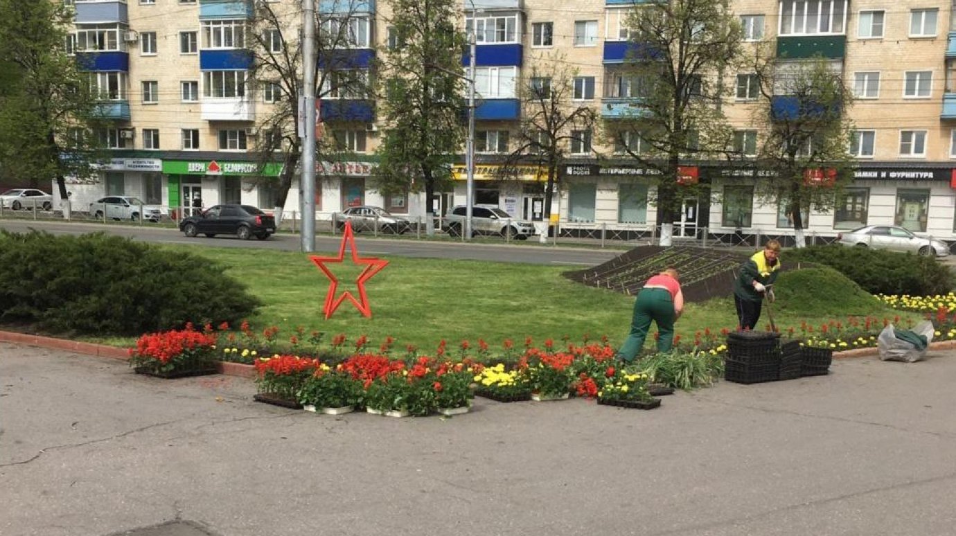 В Пензе клумбы в зеленых зонах украсят более 200 000 цветов