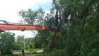 В Пензе коммунальщики убрали около 40 поваленных ураганом деревьев
