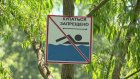 В Кузнецке не нашлось безопасных для купания водоемов