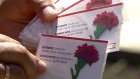 Пензенцы приняли участие в акции «Красная гвоздика»