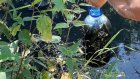Черная вода: в Кузнецком районе нашли источник загрязнения реки