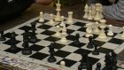 Юные пензенские шахматисты сразились на свежем воздухе