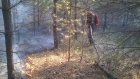 В Кузнецком районе потушили лесной пожар