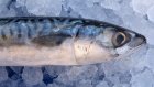 В Пензенской области снято с продажи 50 кг рыбы