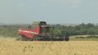 В Пензенской области намолотили 1 миллион тонн зерна