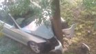 Соцсети: пьяная девушка на BMW врезалась в дерево, отряхнулась и пошла