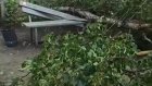 В Пензе рухнувшее дерево изуродовало скамью на детской площадке