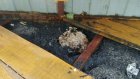 В пензенском детсаду спасатели убрали осиное гнездо из-под пола веранды
