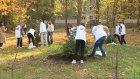 В Пензе волонтеры помогли чистить новый сквер после ночных компаний