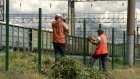 МУП «Пензадормост» отказалось брать на работу осужденных