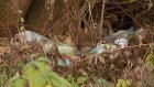 Бурьян на улице Терновского стал местом скопления мусора
