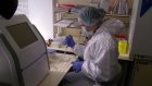 В трех пензенских больницах появятся лаборатории для выявления COVID-19