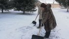 Пензенцы в санитарную пятницу чистили снег и убирали мусор