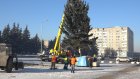 Главная елка Кузнецка засияет ярче, чем в прошлые годы