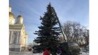 На Соборной площади впервые установили новогоднюю елку