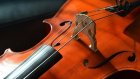 29 декабря - Международный день виолончели